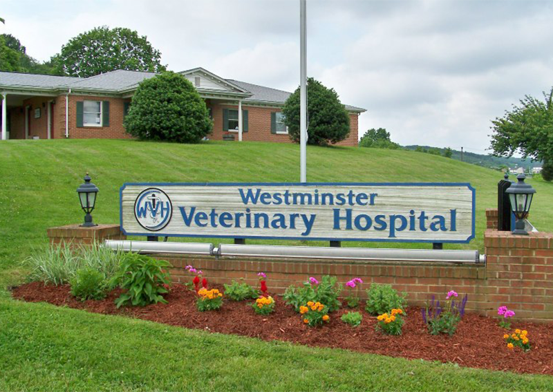Westminster Veterinary Hospital, Westminster